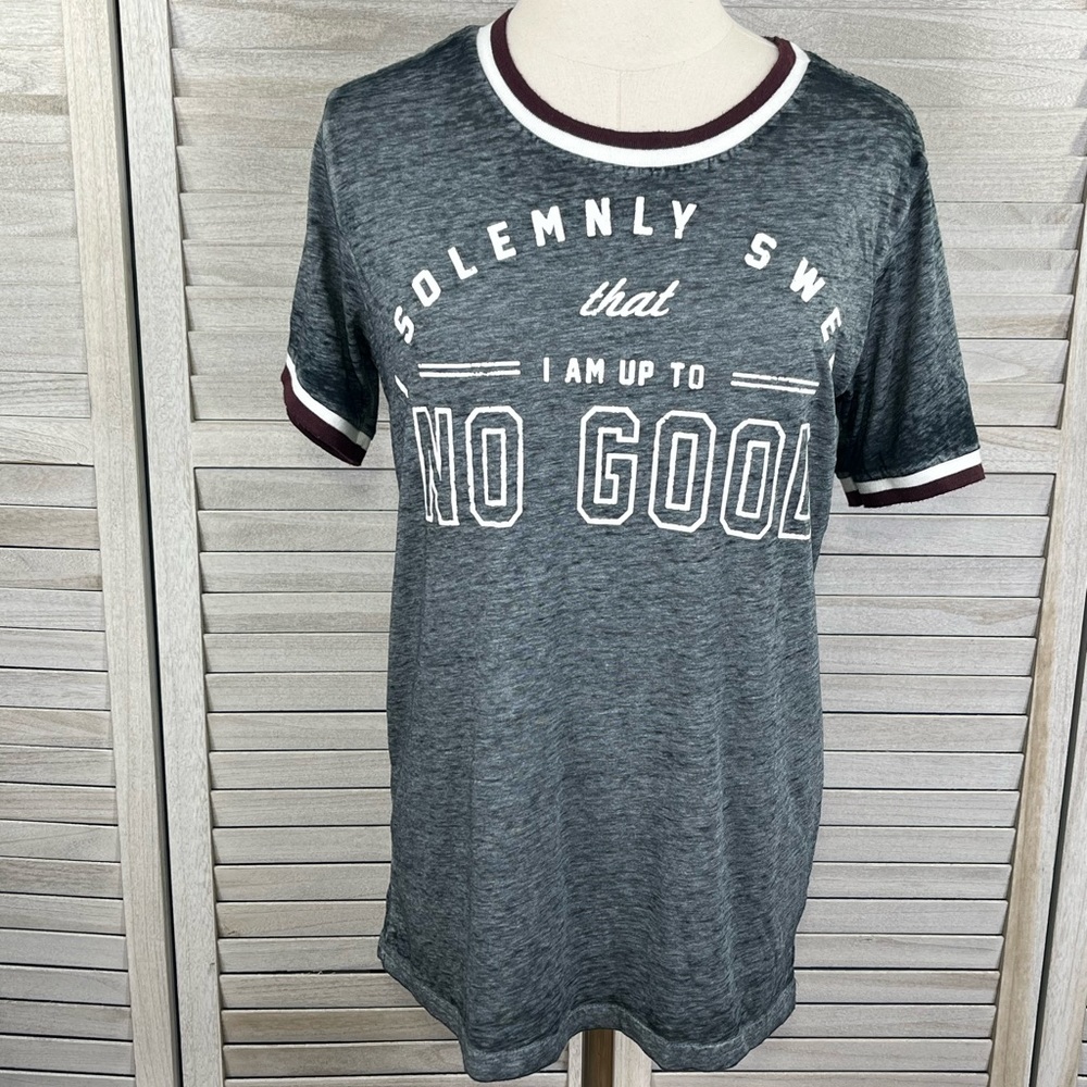 HARRY POTTER Ringer Tee Gray Burnout-Medium